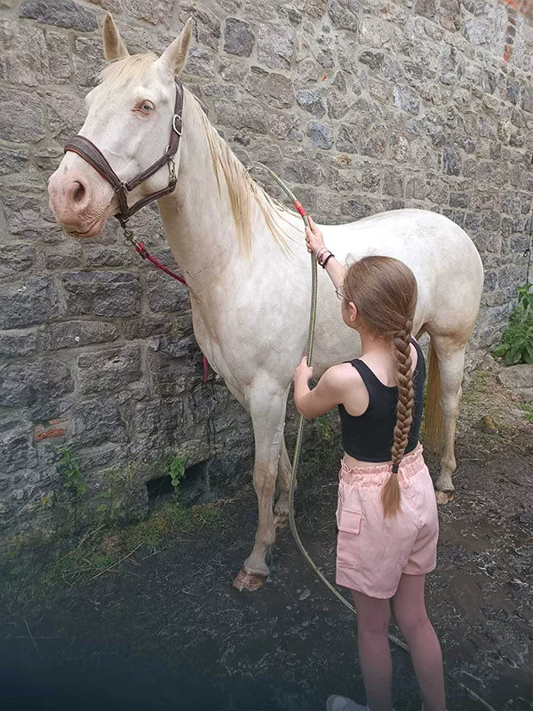 Photo : Equi & Vie, Manèges - Centres équestres & Haras à Jemeppe-sur-Sambre