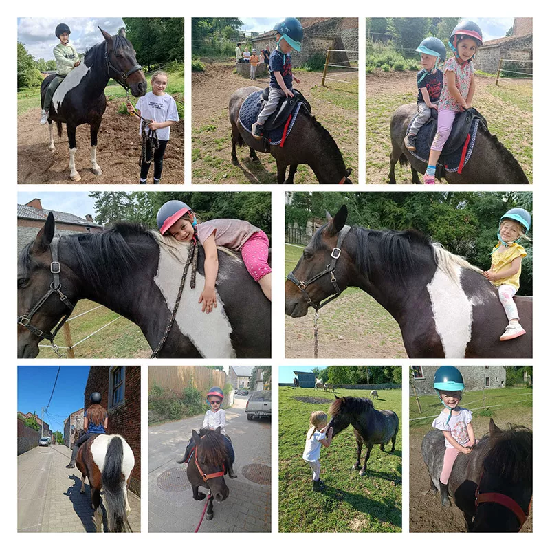 Photo : Equi & Vie, Manèges - Centres équestres & Haras à Jemeppe-sur-Sambre