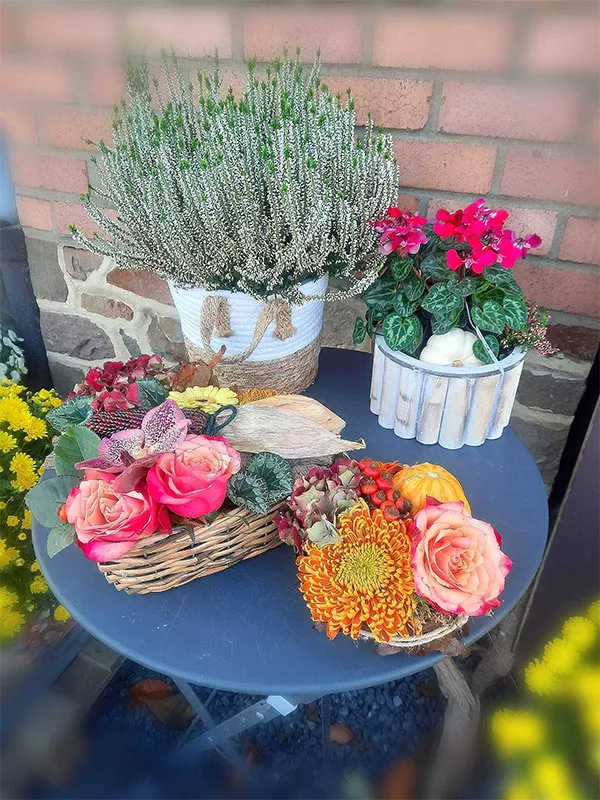 Photo : L’Atelier et fleurs et moi, Fleurs & plantes à Profondeville