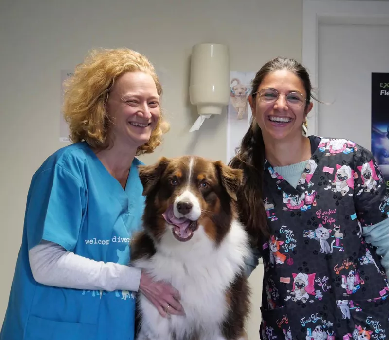 Photo : Ma² Véto - Dr Mailleux Bénédicte & Dr Manil Mélissa, Vétérinaires & Cliniques vétérinaires à Grez-Doiceau