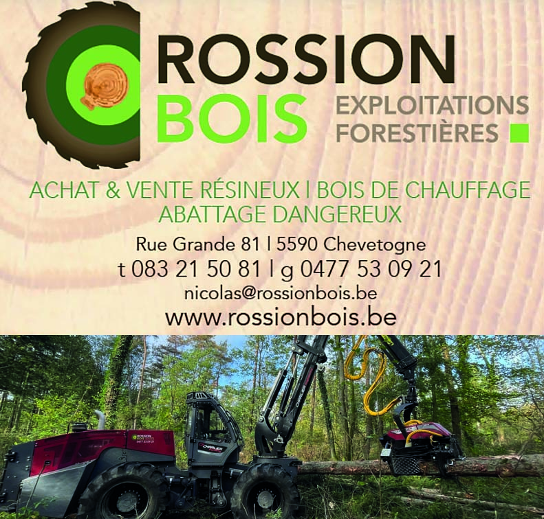 Rossion Bois Srl