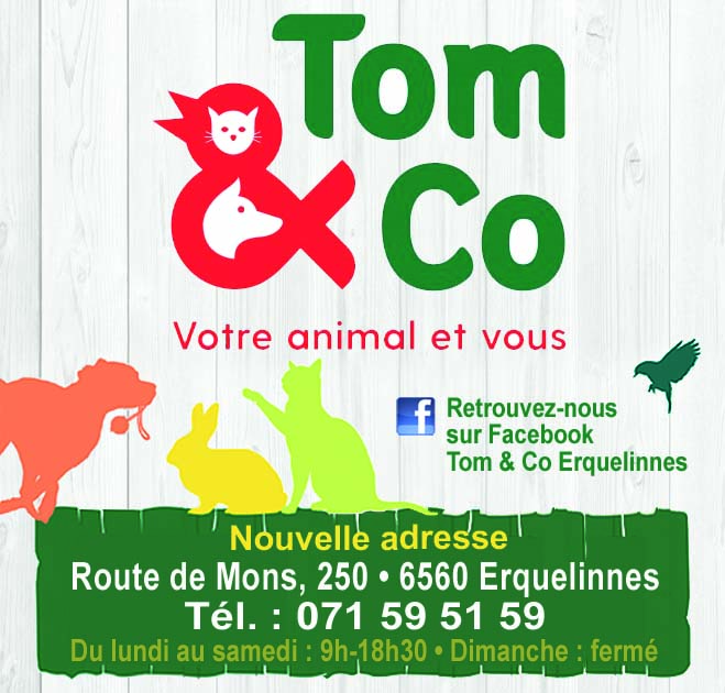 Tom & Co