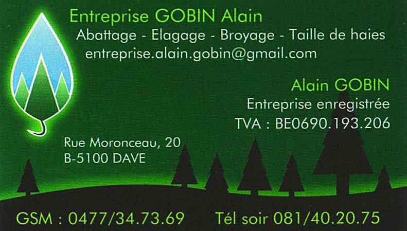 Gobin Alain