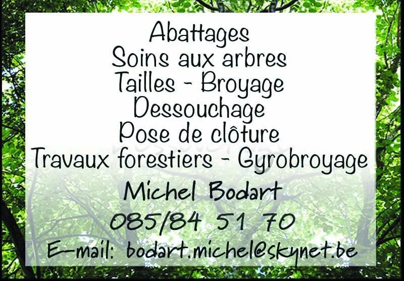 Bodart Michel