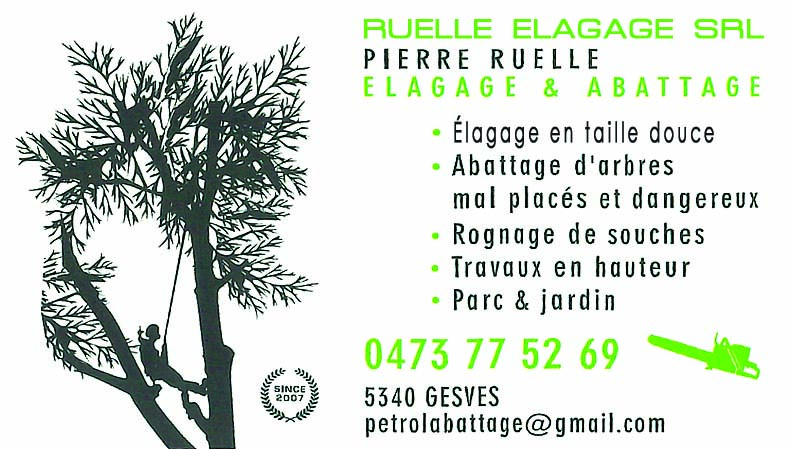 Ruelle Pierre