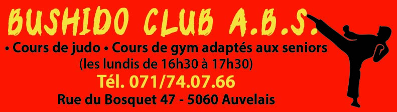 Bushido ABS Asbl