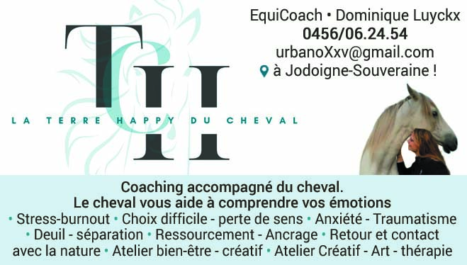 Equi Coaching
