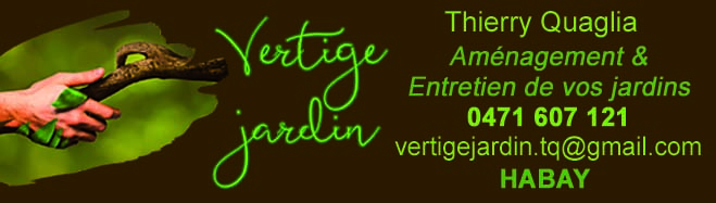 Vertige