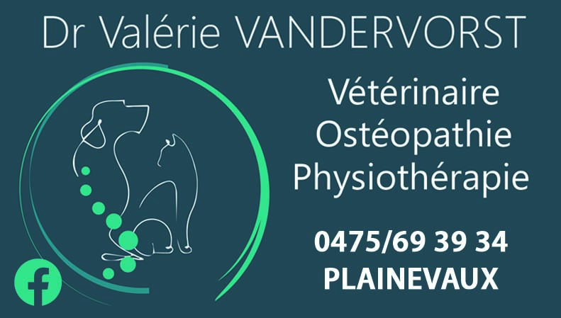 Vandervorst V