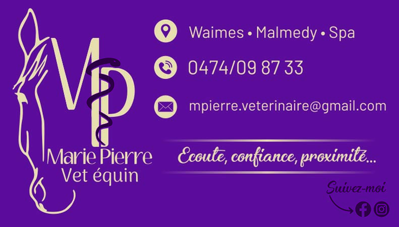 Pierre Marie