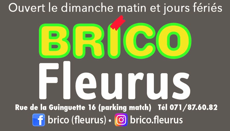 Brico Fleurus