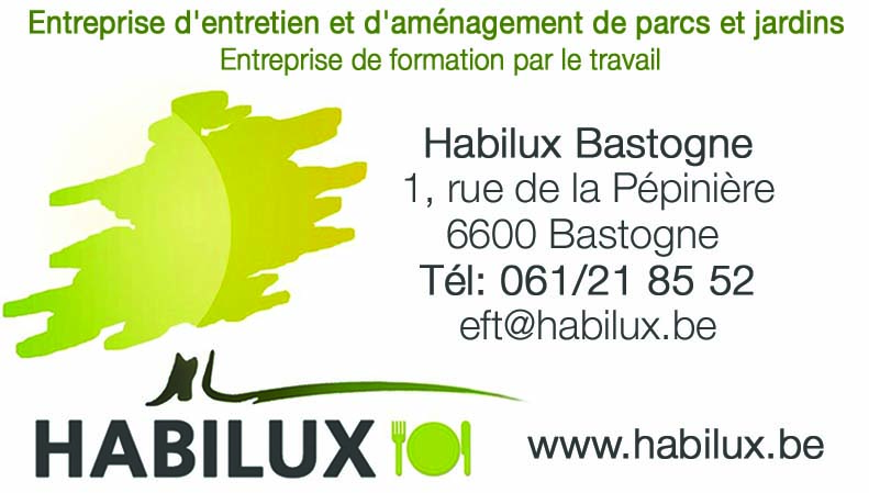 Habilux AID Asbl