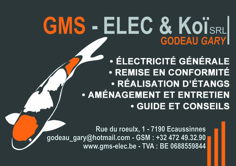 GMS - ELEC & Koï Srl - Godeau Gary