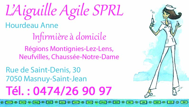 L'aiguille Agile Hourdeau Anne